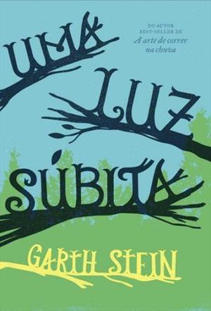 UMA LUZ SUBITA