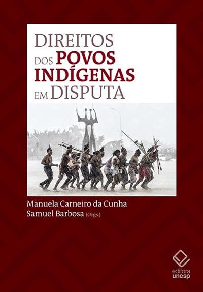 DIREITOS DOS POVOS INDIGENAS EM DISPUTA
