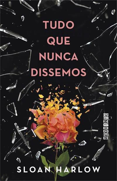 TUDO QUE NUNCA DISSEMOS