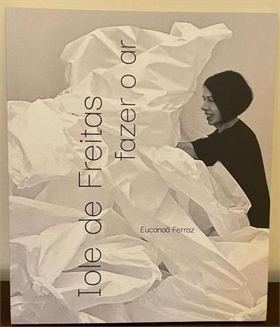 IOLE DE FREITAS: FAZER O AR