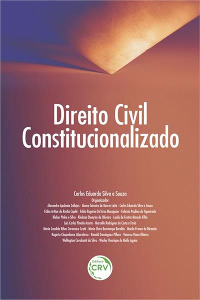 DIREITO CIVIL CONSTITUCIONALIZADO