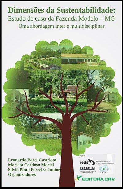 DIMENSOES DA SUSTENTABILIDADE...MULTIDISCIPLINAR