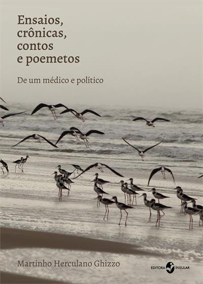 ENSAIOS, CRONICAS, CONTOS E POEMETOS: DE...POLITICO