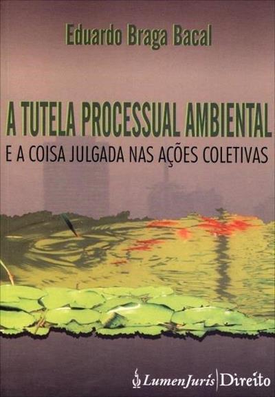 A TUTELA PROCESSUAL AMBIENTAL: E A COISA...COLETIVAS