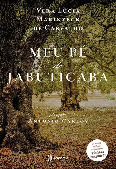 MEU PE DE JABUTICABA